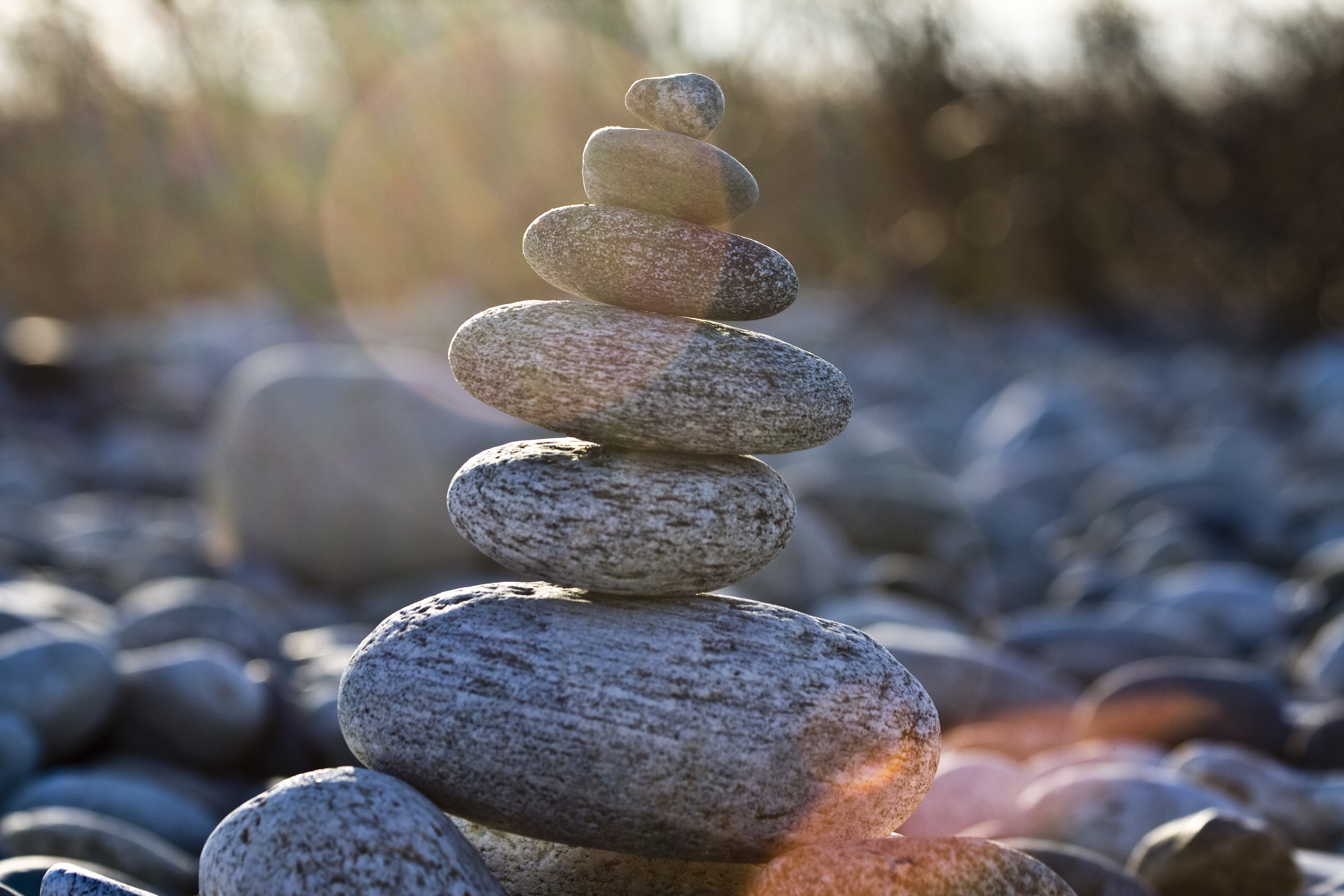 Individual Psychotherapy